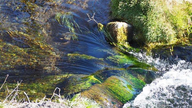 f:id:pic_Caede:20210106162301j:image f:id:pic_Caede:20210106162301j:image