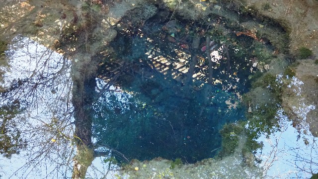 f:id:pic_Caede:20210106162314j:image f:id:pic_Caede:20210106162314j:image