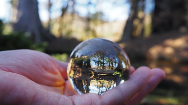 f:id:pic_Caede:20210106162321j:image f:id:pic_Caede:20210106162321j:image