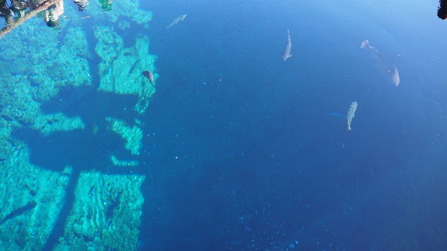 f:id:pic_Caede:20210106163246j:image f:id:pic_Caede:20210106163246j:image