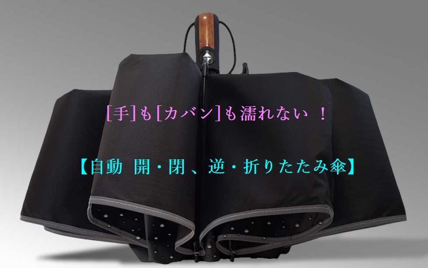 f:id:piccata:20220214010207j:plain