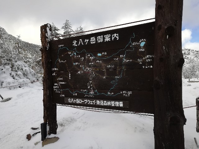 f:id:piccopicox:20181230191554j:image f:id:piccopicox:20181230191554j:image