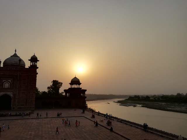 f:id:piccopicox:20200802164643j:image f:id:piccopicox:20200802164643j:image