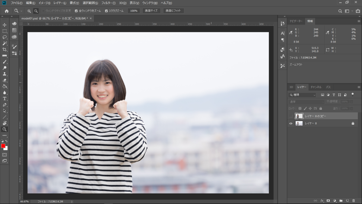 f:id:pick_puckn13:20190625132205p:plain f:id:pick_puckn13:20190625132205p:plain