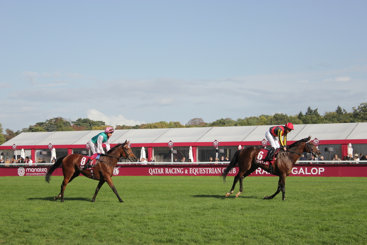 フランス競馬観戦記 パリロンシャン競馬場（凱旋門賞2019） - un