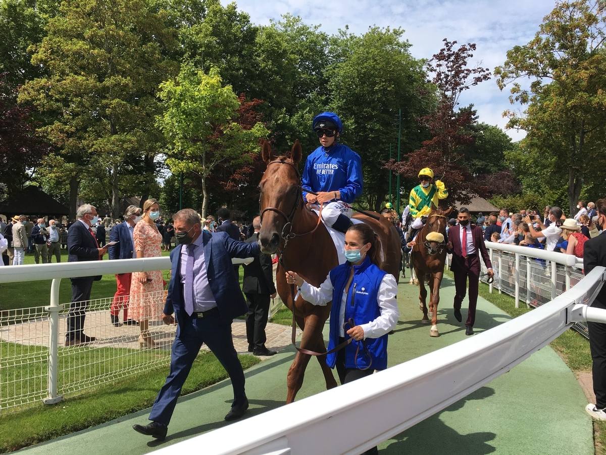 洋書 フランス語 馬 販売情報 Deauville 競馬 ドーヴィル 2002 洋書 フランス語 馬 販売情報 Deauville 競馬 ドーヴィル 2002