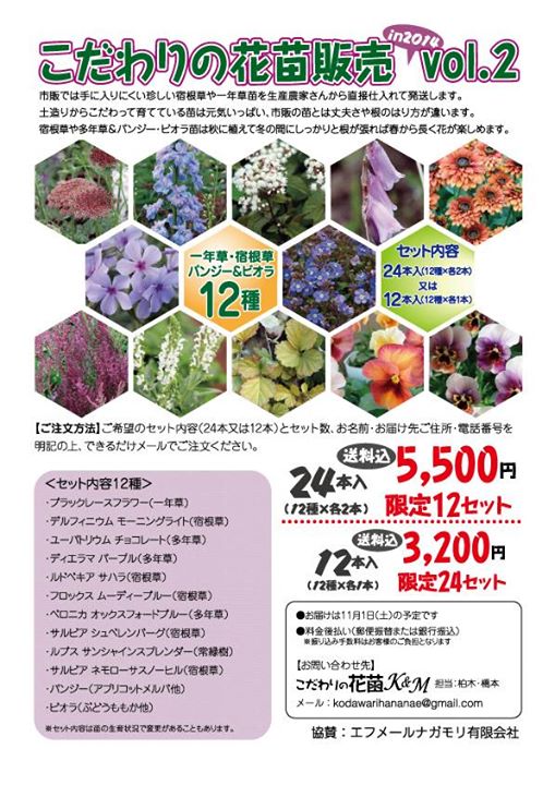 ビラ 2014年秋.jpg