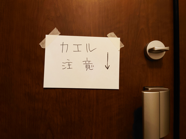 真夜中の訪問者 いっぱい キレイな家を目指したい