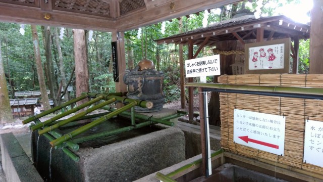 f:id:picofuu:20230715161046j:image f:id:picofuu:20230715161046j:image