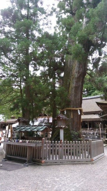 f:id:picofuu:20230715161718j:image f:id:picofuu:20230715161718j:image