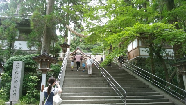 f:id:picofuu:20230715161735j:image f:id:picofuu:20230715161735j:image
