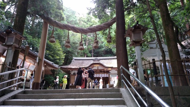 f:id:picofuu:20230715163025j:image f:id:picofuu:20230715163025j:image