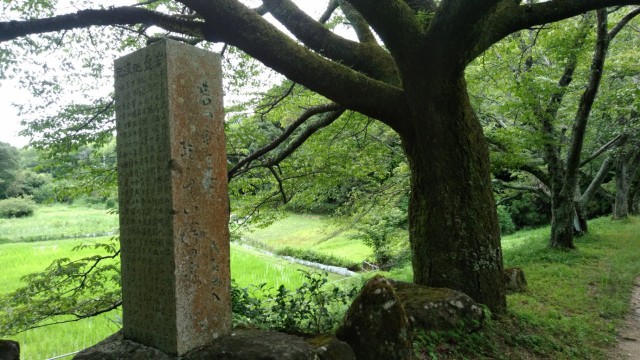 f:id:picofuu:20230715165005j:image f:id:picofuu:20230715165005j:image