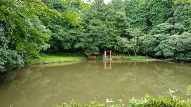 f:id:picofuu:20230715165018j:image f:id:picofuu:20230715165018j:image