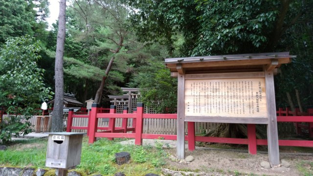 f:id:picofuu:20230715170402j:image f:id:picofuu:20230715170402j:image