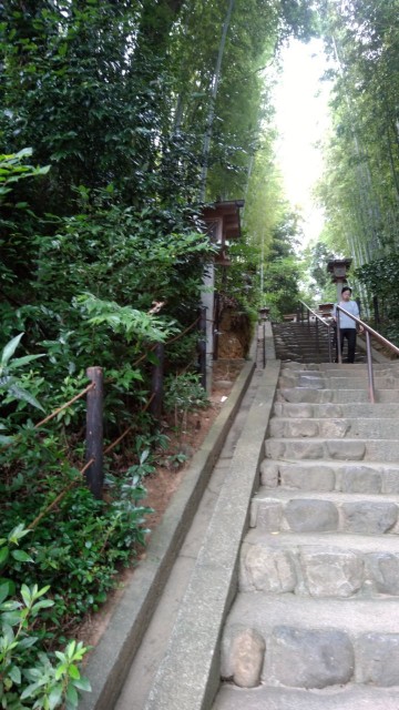 f:id:picofuu:20230715172347j:image f:id:picofuu:20230715172347j:image
