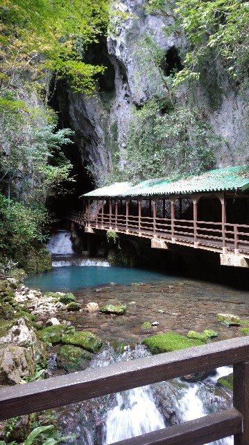 f:id:picofuu:20230927093255j:image f:id:picofuu:20230927093255j:image