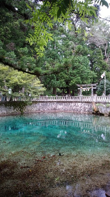 f:id:picofuu:20230927095300j:image f:id:picofuu:20230927095300j:image