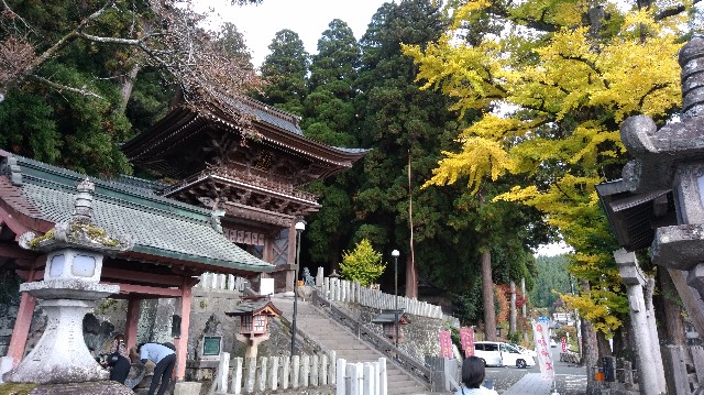 f:id:picofuu:20231117022741j:image f:id:picofuu:20231117022741j:image