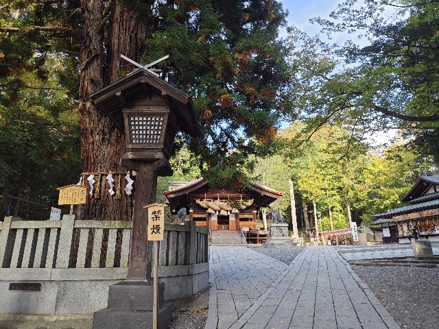f:id:picofuu:20241028130239j:image f:id:picofuu:20241028130239j:image