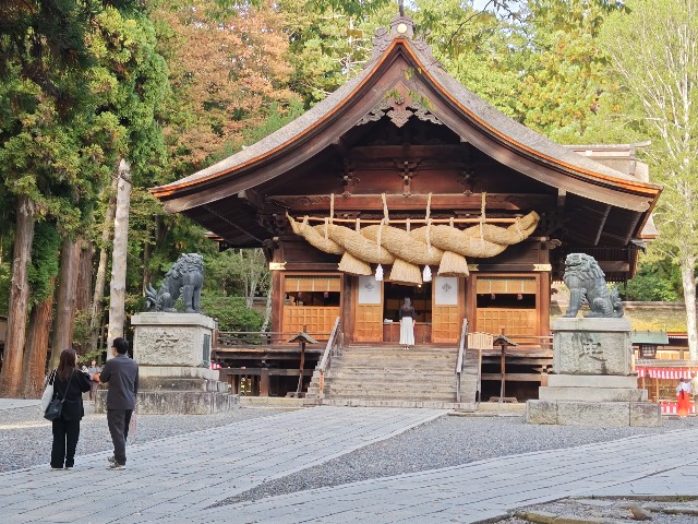 f:id:picofuu:20241028130250j:image f:id:picofuu:20241028130250j:image
