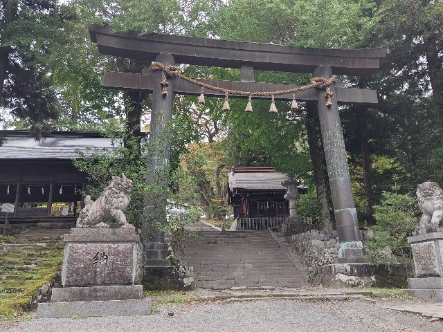 f:id:picofuu:20241031224714j:image f:id:picofuu:20241031224714j:image