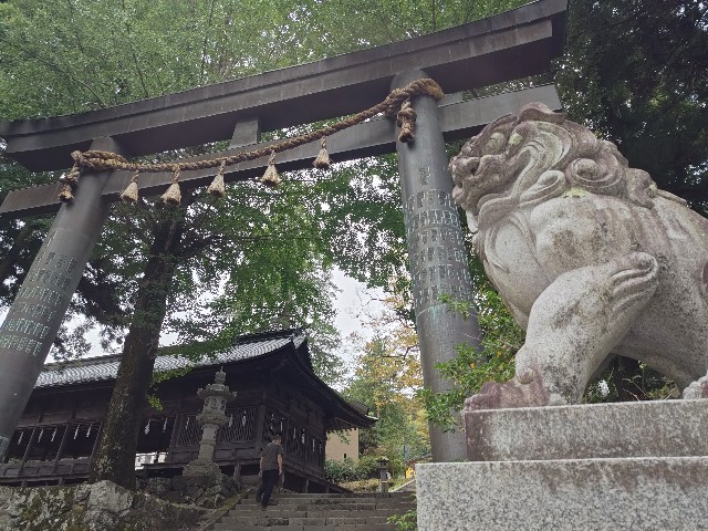 f:id:picofuu:20241031224818j:image f:id:picofuu:20241031224818j:image