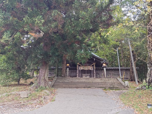 f:id:picofuu:20241031224840j:image f:id:picofuu:20241031224840j:image