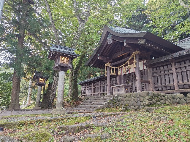 f:id:picofuu:20241031225039j:image f:id:picofuu:20241031225039j:image