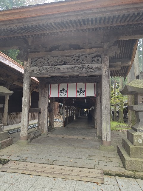 f:id:picofuu:20241031225424j:image f:id:picofuu:20241031225424j:image