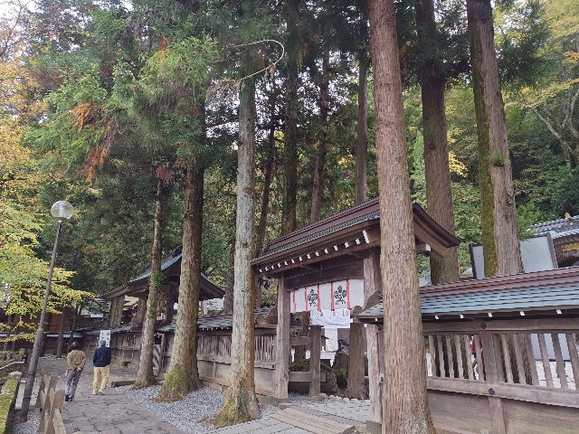 f:id:picofuu:20241031230117j:image f:id:picofuu:20241031230117j:image