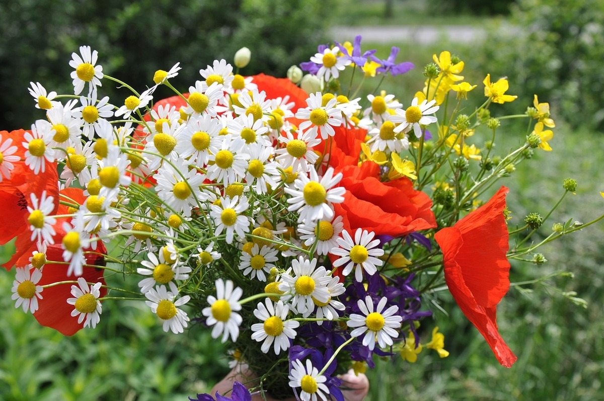 f:id:piconoglass:20201007161337j:plain