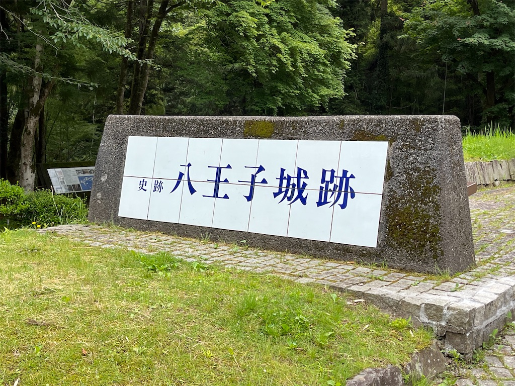f:id:picotancho:20230621184218j:image