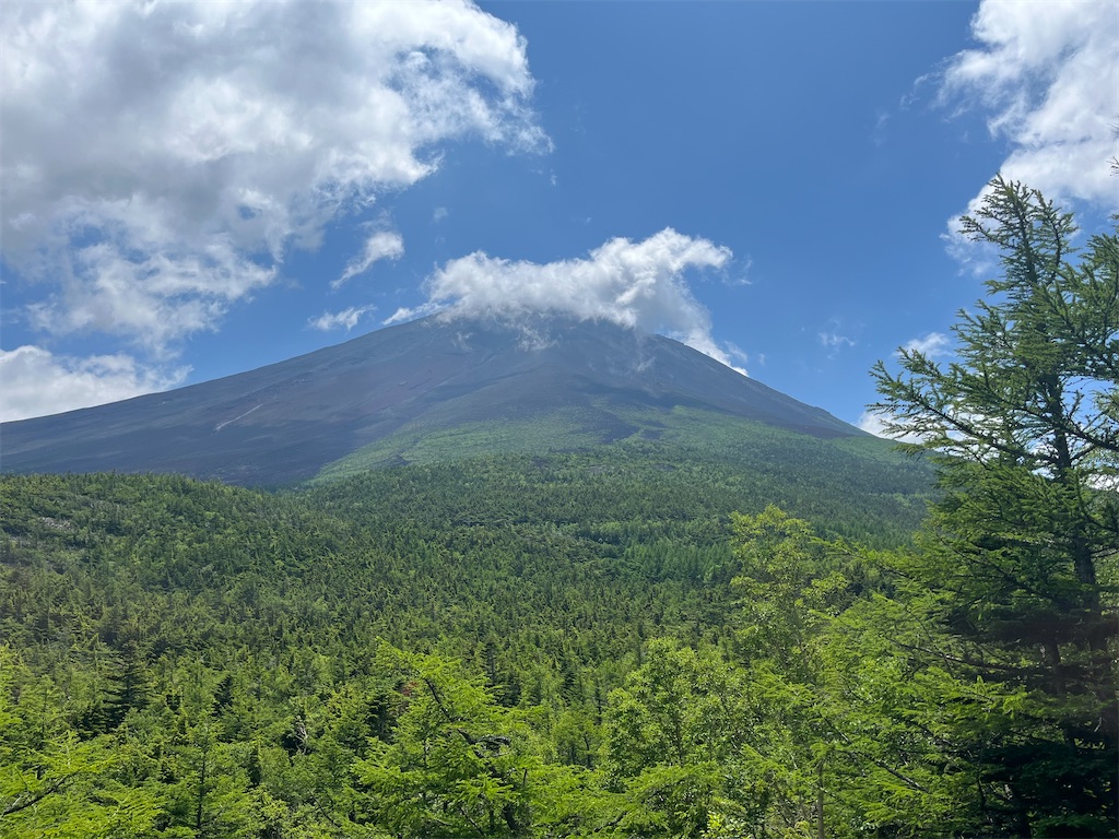 f:id:picotancho:20230706191041j:image