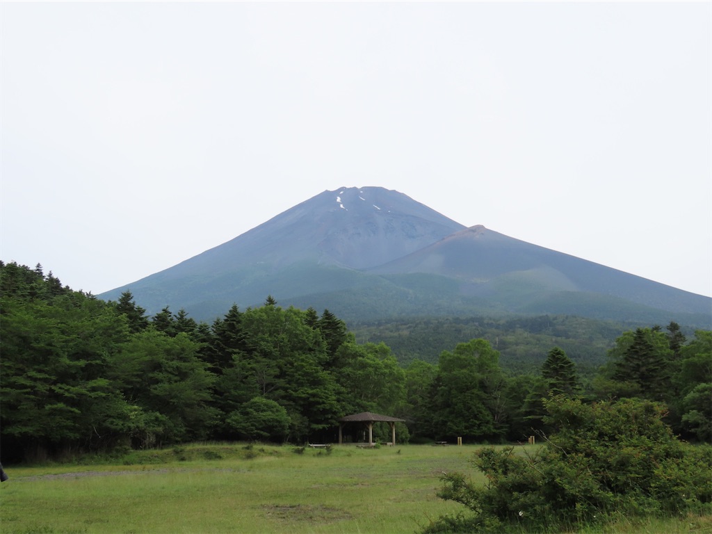 f:id:picotancho:20230810110224j:image