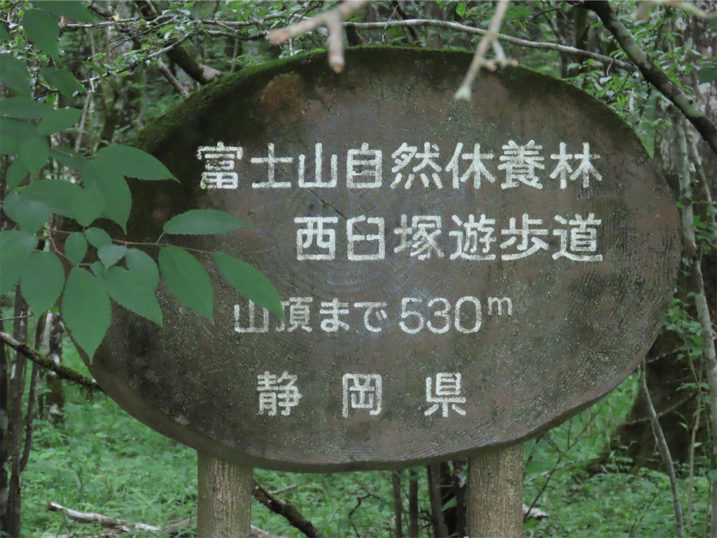 f:id:picotancho:20230827110103j:image