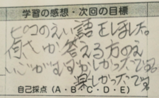 f:id:picoyonezawa:20170117120259j:plain