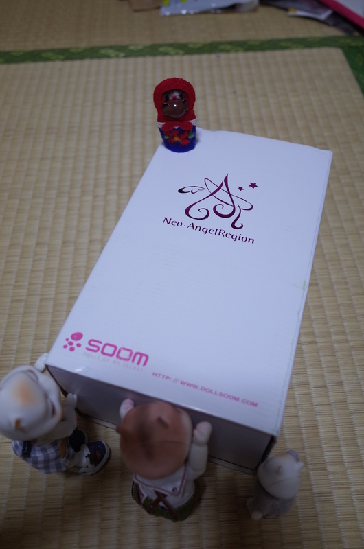 imda1.7 Louie_Boy開封の記録 - いろいろするよ
