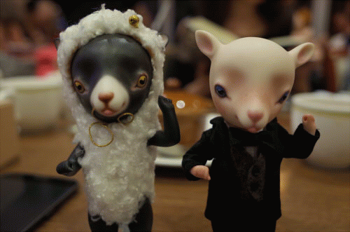 f:id:pics5384:20170827204803g:plain f:id:pics5384:20170827204803g:plain