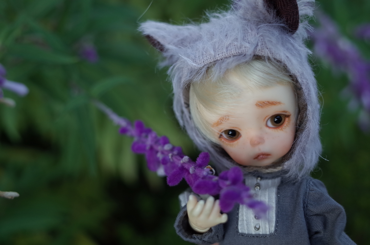 f:id:pics5384:20201031161656j:plain