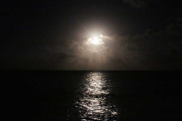 夜の海