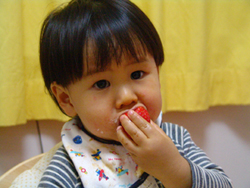 f:id:pie_co:20080201224858j:image