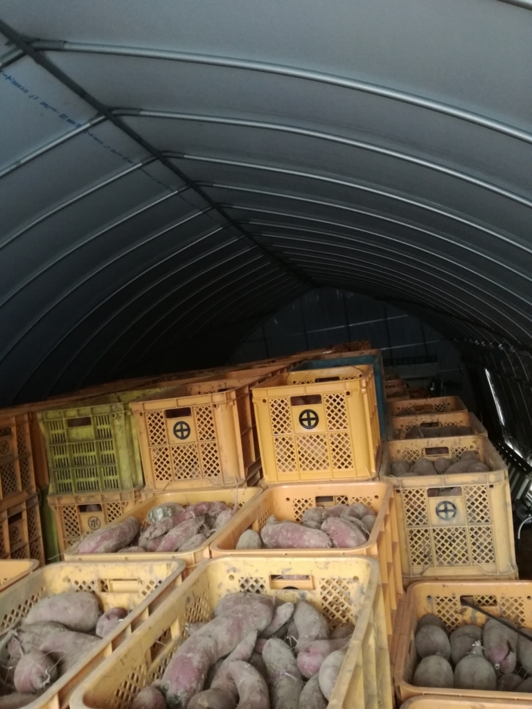 f:id:piecepotato:20171126064304j:plain