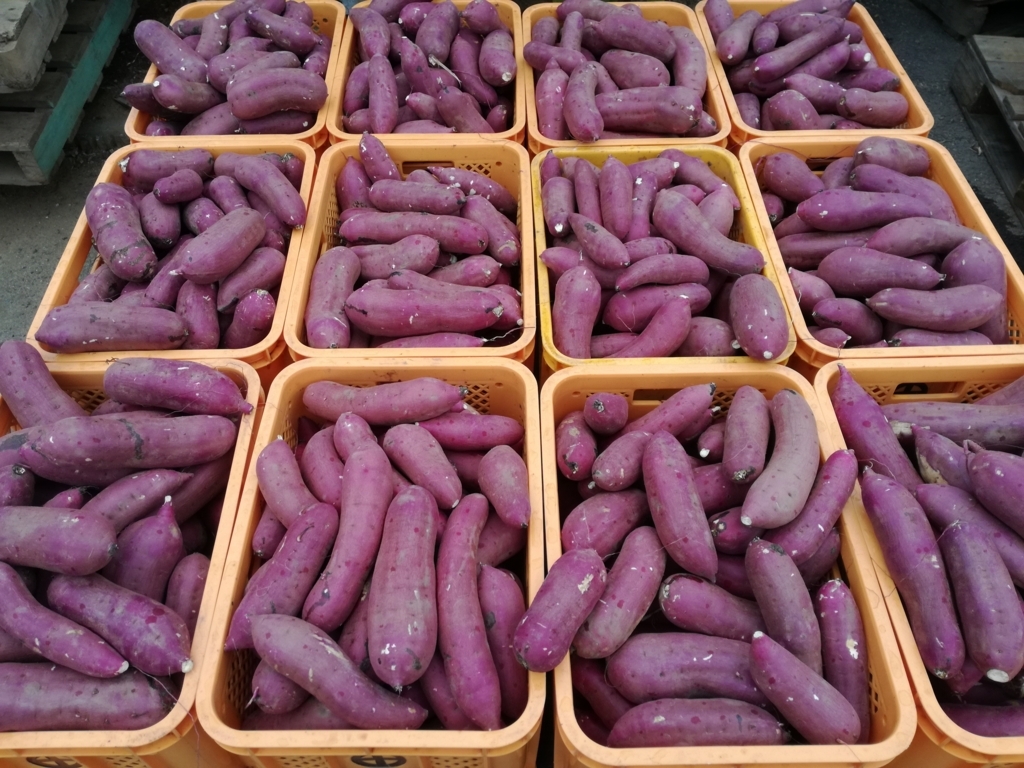 f:id:piecepotato:20171126064500j:plain