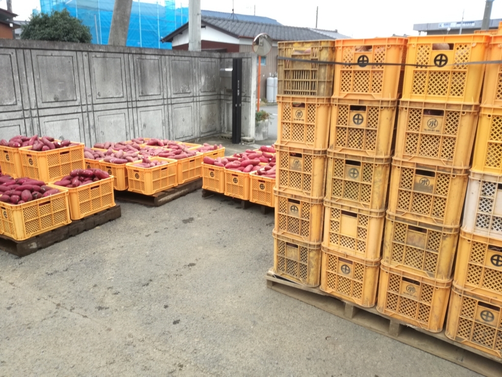 f:id:piecepotato:20171126064536j:plain