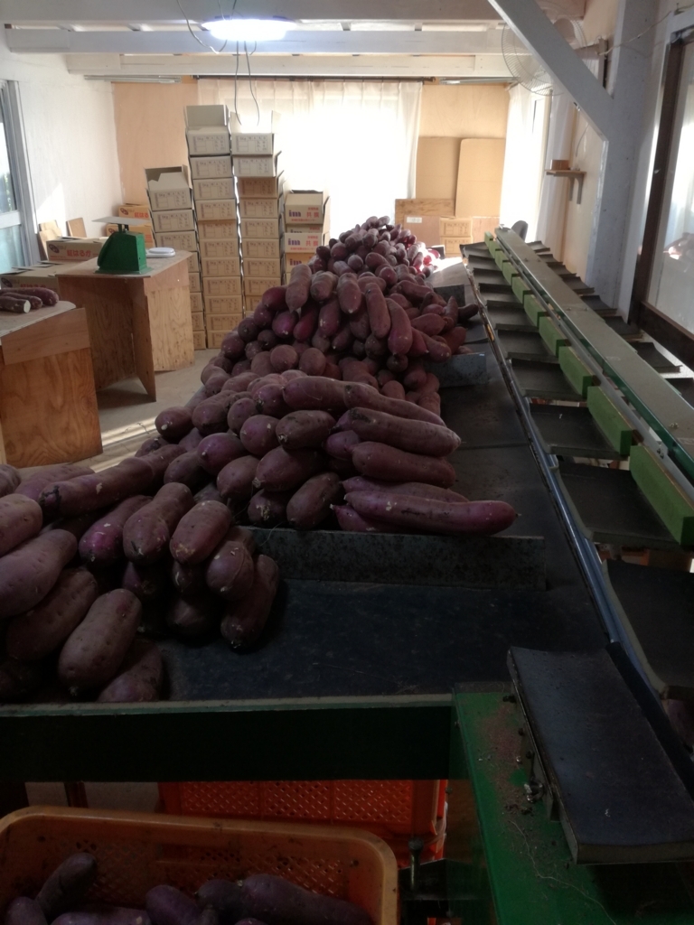 f:id:piecepotato:20171126065254j:plain