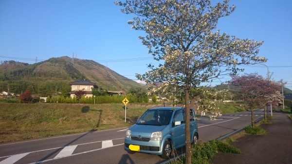 f:id:piecoponco:20201209013843j:plain
