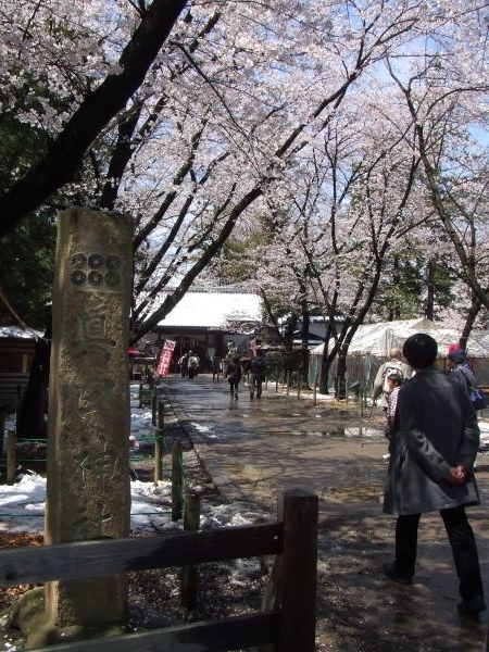 f:id:piecoponco:20201209015235j:plain