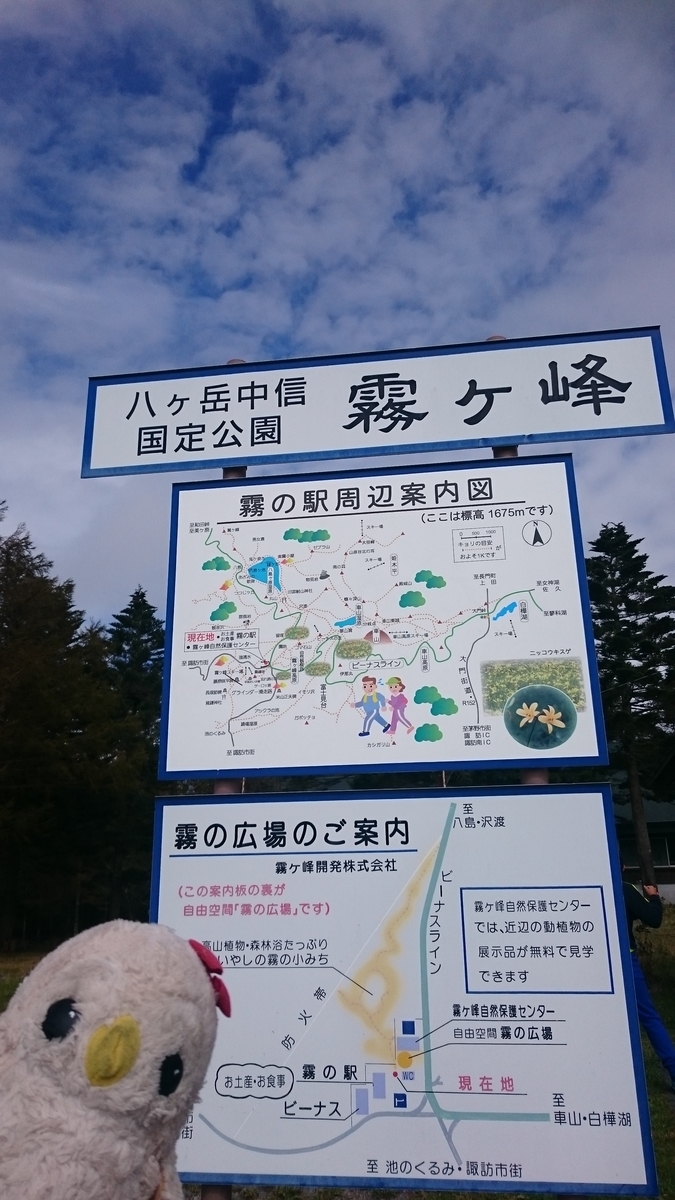 f:id:piecoponco:20201209031754j:plain
