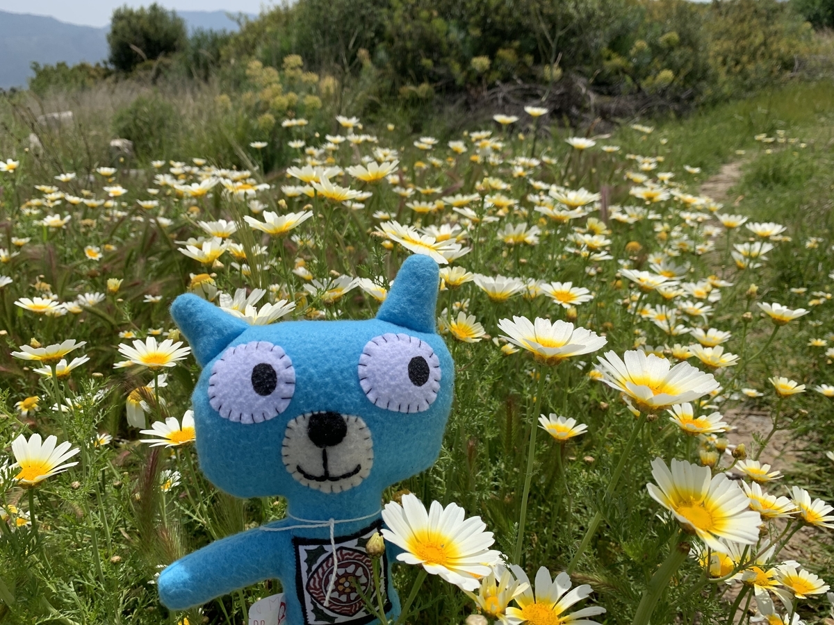 f:id:piedpiper:20190424123752j:plain